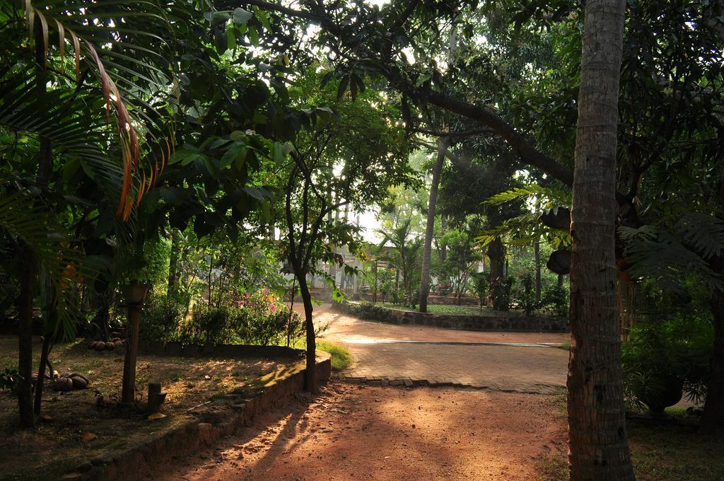 Soba Lanka Holiday Resort Melsiripura Exterior photo