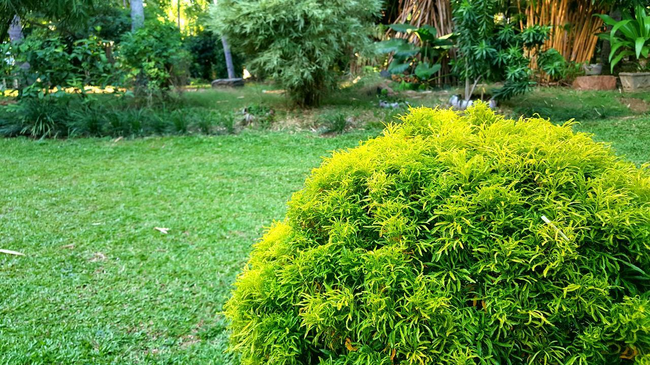 Soba Lanka Holiday Resort Melsiripura Exterior photo