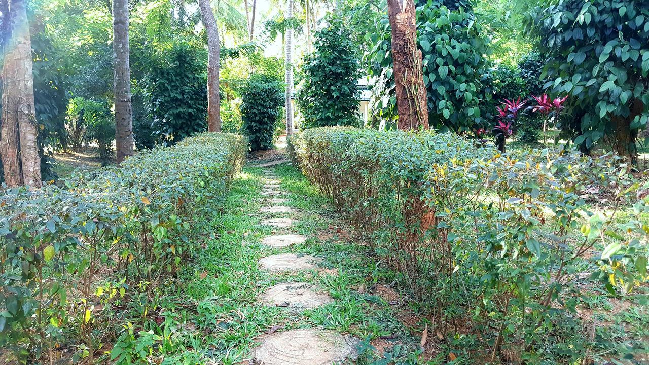 Soba Lanka Holiday Resort Melsiripura Exterior photo