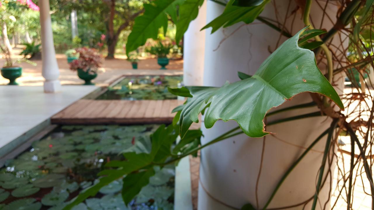 Soba Lanka Holiday Resort Melsiripura Exterior photo